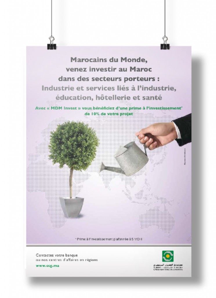 Caisse Centrale de Garantie (CCG)